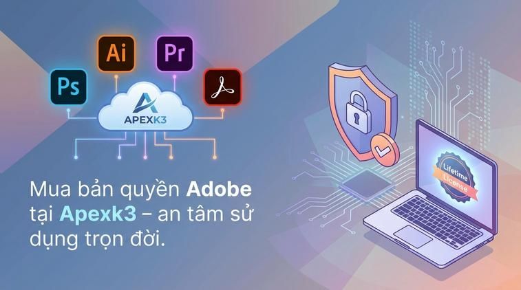Mua bản quyền Adobe tại Apexk3 – an tâm sử dụng trọn đời