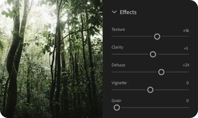 Lightroom Hero Image