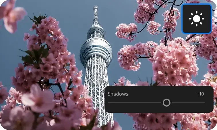 Lightroom Hero Image