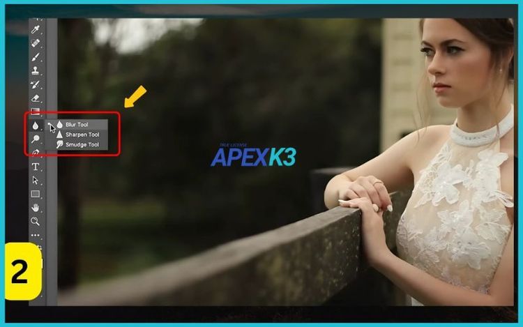 Làm Mờ (Blur) vật trong Video Premiere Đơn Giản